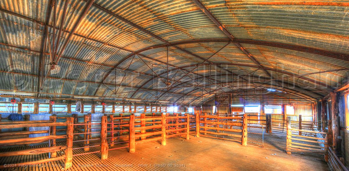 Peter Bellingham Photography Bucklow Station - Woolshed - NSW T (PB5D 00 2634)